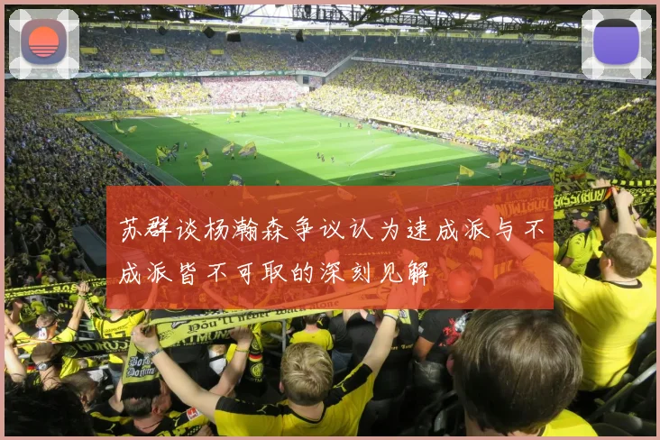 苏群谈杨瀚森争议认为速成派与不成派皆不可取的深刻见解